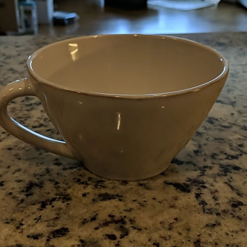 NWOT Crate & Barrel Massive Coffee Mug
